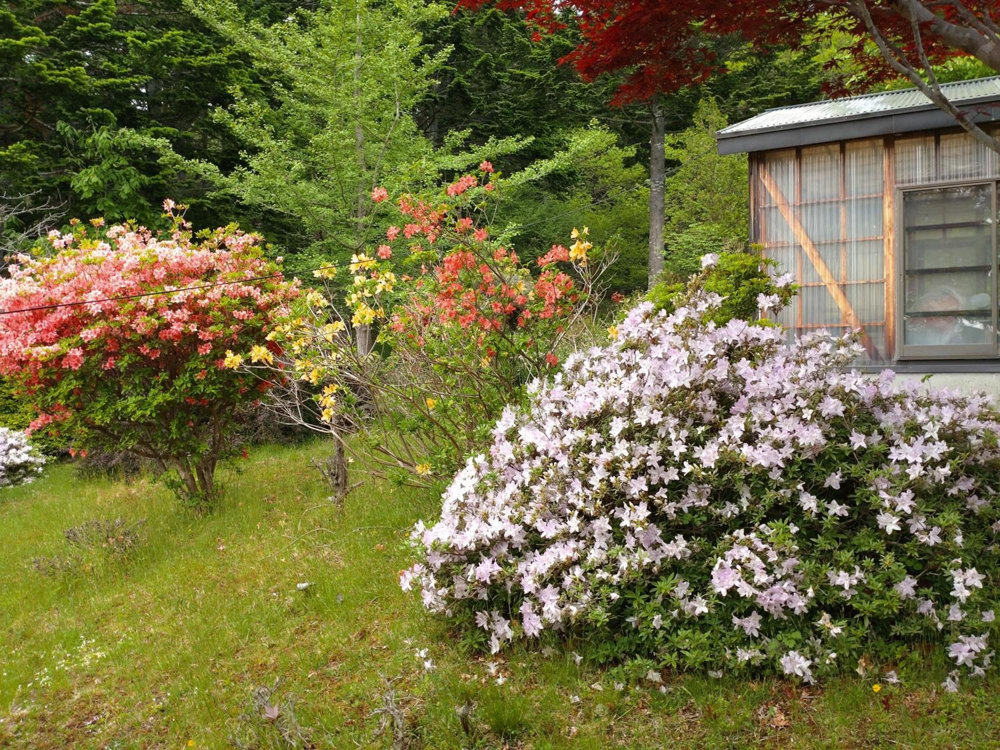 Noboribetsu No Mori Villa Exterior photo
